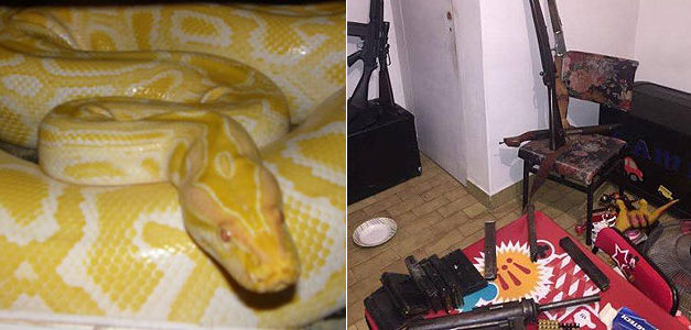 OPERATIVO PITON  LOGRAN DESBARATAR UNA BANDA NARCO