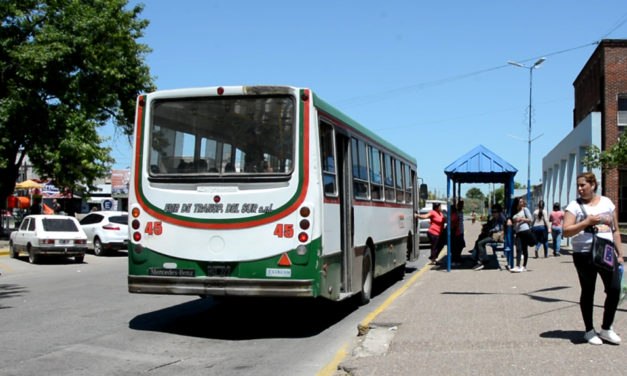 PTE PERON, NUEVA LINEA DE TRANSPORTE ENTRE PARQUE AMERICANO Y GUERNICA