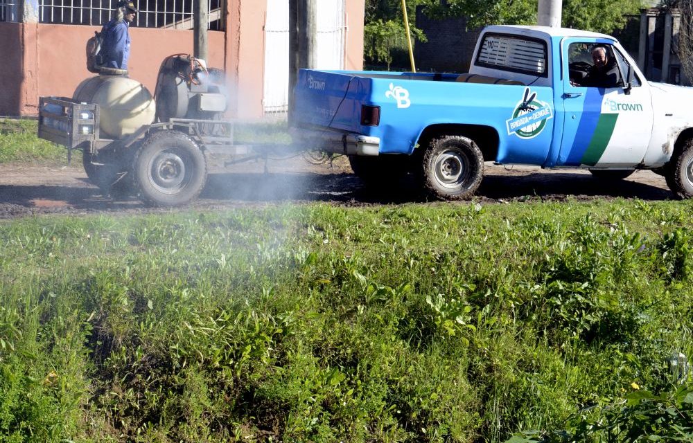 DENGUE, BROWN FUMIGA E INFORMA CASA POR CASA