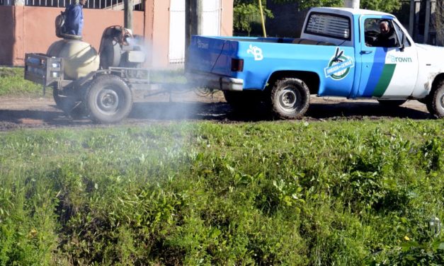 DENGUE, BROWN FUMIGA E INFORMA CASA POR CASA