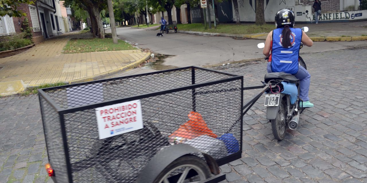 «UN CABALLO POR UN  MOTOCARRO» . SIGUE AVANZANDO EL PROGRAMA EN LOMAS