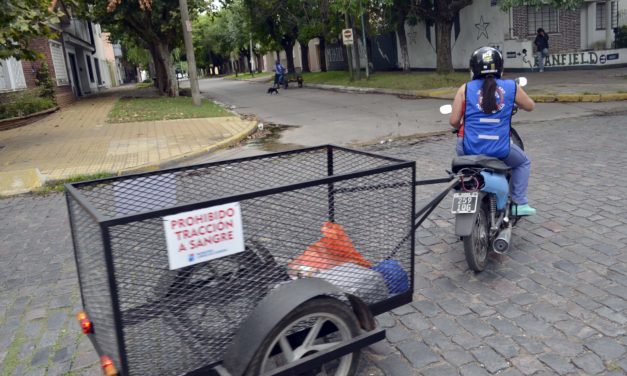 «UN CABALLO POR UN  MOTOCARRO» . SIGUE AVANZANDO EL PROGRAMA EN LOMAS