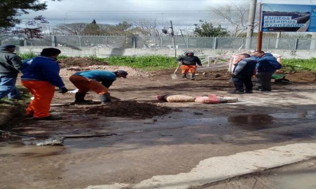 LOMAS DE ZAMORA, AVANZA LA RED CLOCACAL EN TURDERA