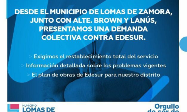 MUNICIPIOS DE LA REGION DEMANDAN A EDESUR POR LOS CORTES DEL SERVICIO