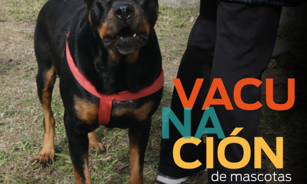 CLINICA VETERINARIA DE LANUS, EN JUNIO SE ATENDIERON MAS DE 2000 MASCOTAS