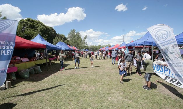 EXPO GRANJA 2018 EN ALMIRANTE BROWN