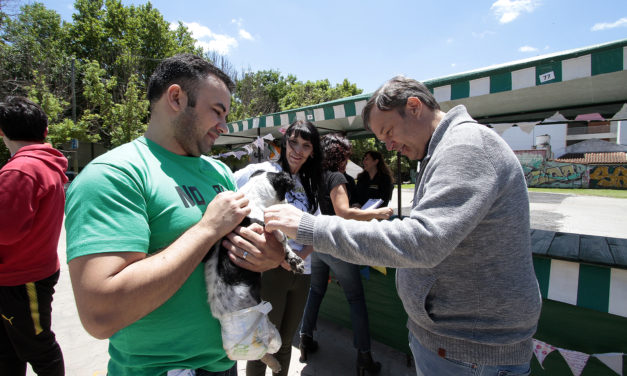 ALTE.BROWN, EL MOVIL DE ZOONOSIS SIGUE RECORRIEENDO EL DISTRITO