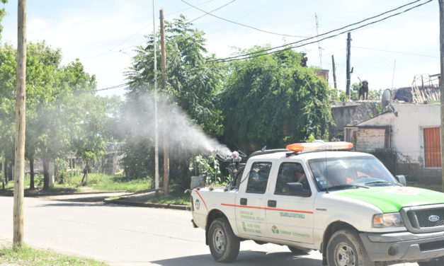 ECHEVERRIA, LIMPIEZA, FUMIGACIÓN Y DESRATIZACIÓN EN EL BARRIO SARMIENTO DE 9 DE ABRIL