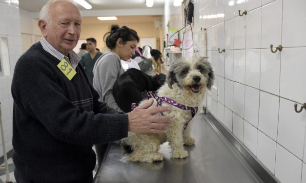 CASTRACION DE MASCOTAS EN LONGCHAMPS