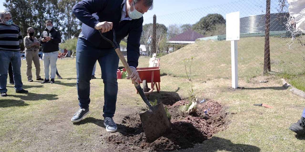 CASCALLARES RECORRIÓ OBRAS Y PARTICIPÓ DE JORNADA DE FORESTACIÓN EN MINISTRO RIVADAVIA
