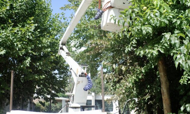 ECHEVERRIA SUMA NUEVAS CAMARAS DE SEGURIDAD