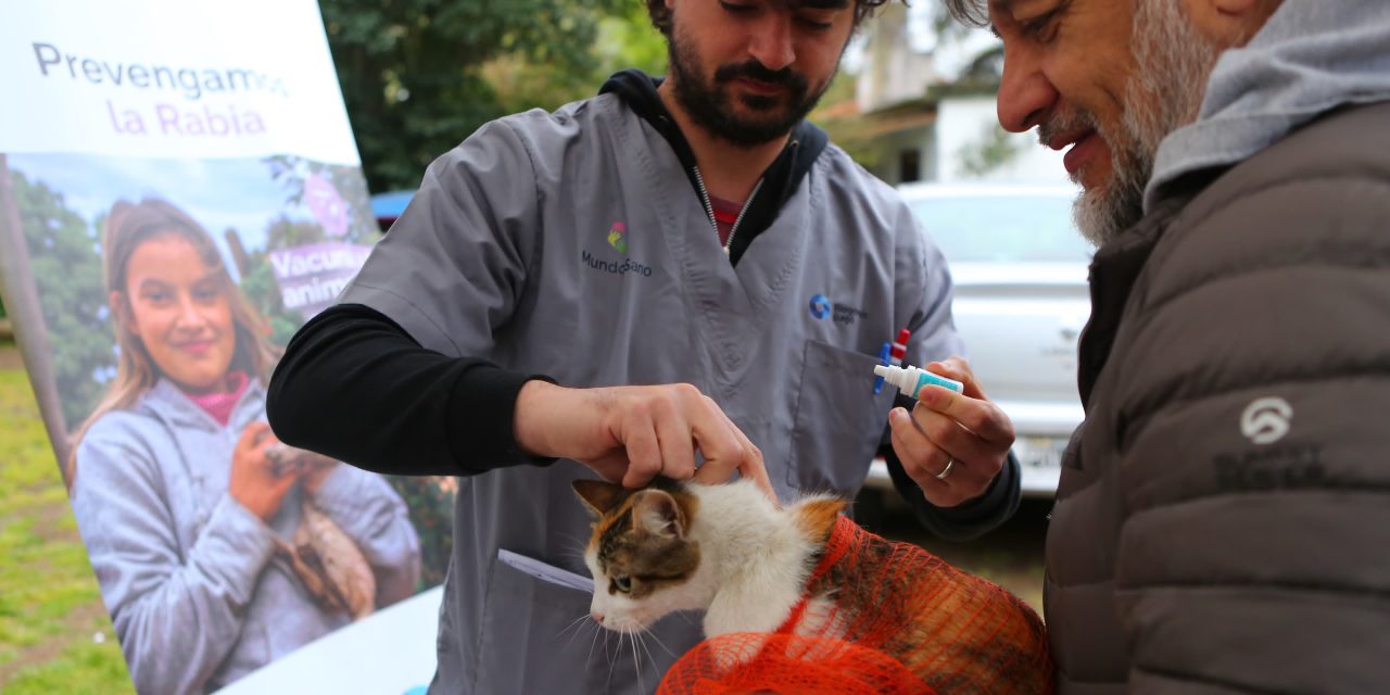 NUEVA JORNADA DE CASTRACCION MASIVA EN ECHEVERRIA