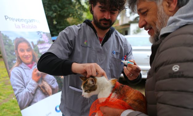 NUEVA JORNADA DE CASTRACCION MASIVA EN ECHEVERRIA