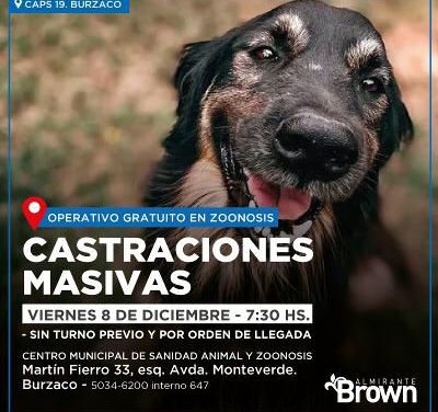 BROWN CASTRA  EN EL DIA DE LOS DERECHOS DE LOS ANIMALES