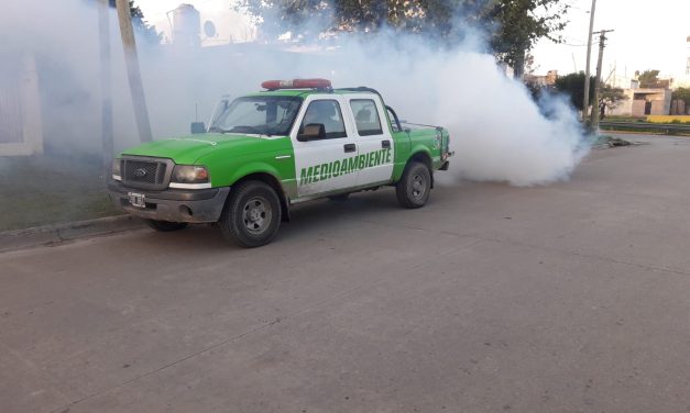 CONTINUAN LOS OPERATIVOS  DE FUMIGACION EN ECHEVERRIA