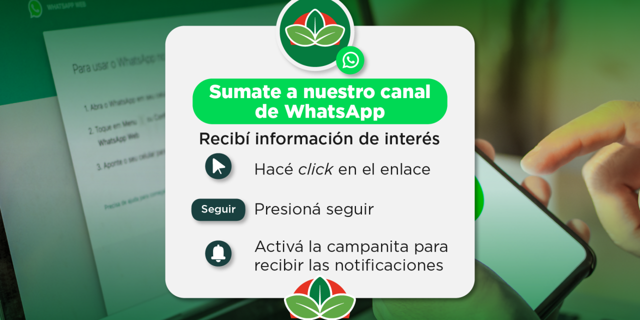 EL MUNICIPIO DE ECHEVERRIA CUENTA CON UN CANAL OFICIAL DE WHATSAPP