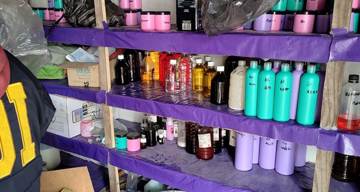 DESARTICULAN EN TEMPERLEY UNA BANDA QUE VENDIA PRODUCTOS CAPILARES TOXICOS
