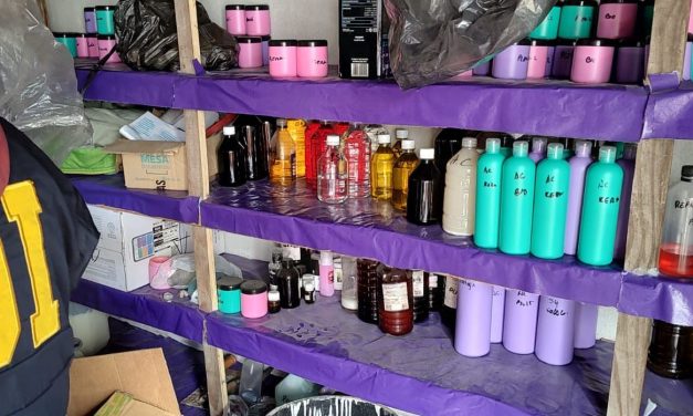 DESARTICULAN EN TEMPERLEY UNA BANDA QUE VENDIA PRODUCTOS CAPILARES TOXICOS