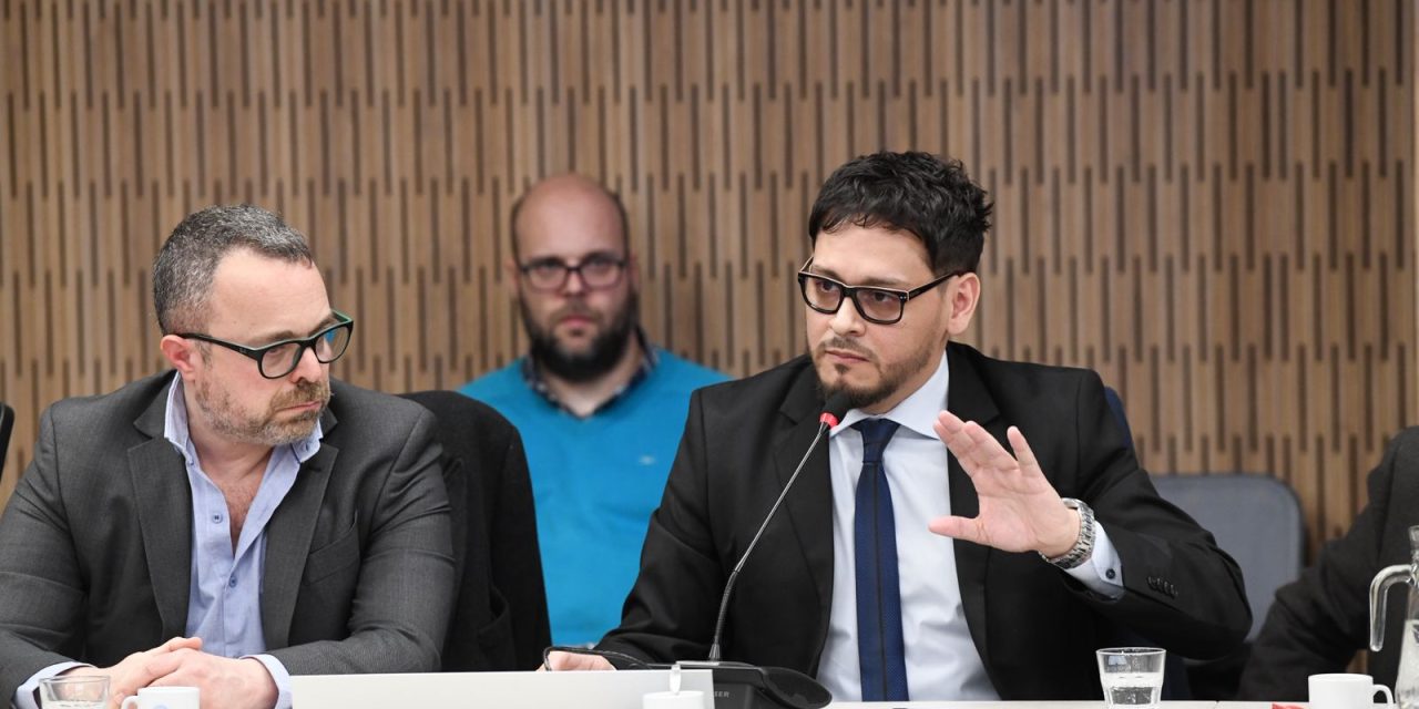 MANCEBO EN LA CAMARA DE DIPUTADOS , CRITICAS A LA PRIVATIZACION DE AYSA