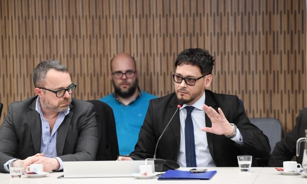 MANCEBO EN LA CAMARA DE DIPUTADOS , CRITICAS A LA PRIVATIZACION DE AYSA