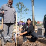 EL MUNICIPIO ERRADICA UN BASURAL HISTORICO DE EZPELETA