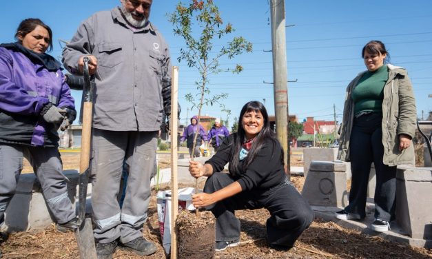 EL MUNICIPIO ERRADICA UN BASURAL HISTORICO DE EZPELETA