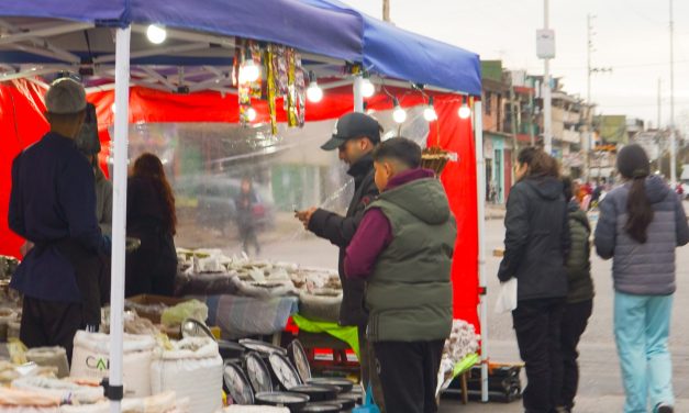 CIENTOS DE VECINAS Y VECINOS PASARON ESTE SÁBADO POR EL PASEO DE COMPRAS  DE LA AVENIDA OLIVER